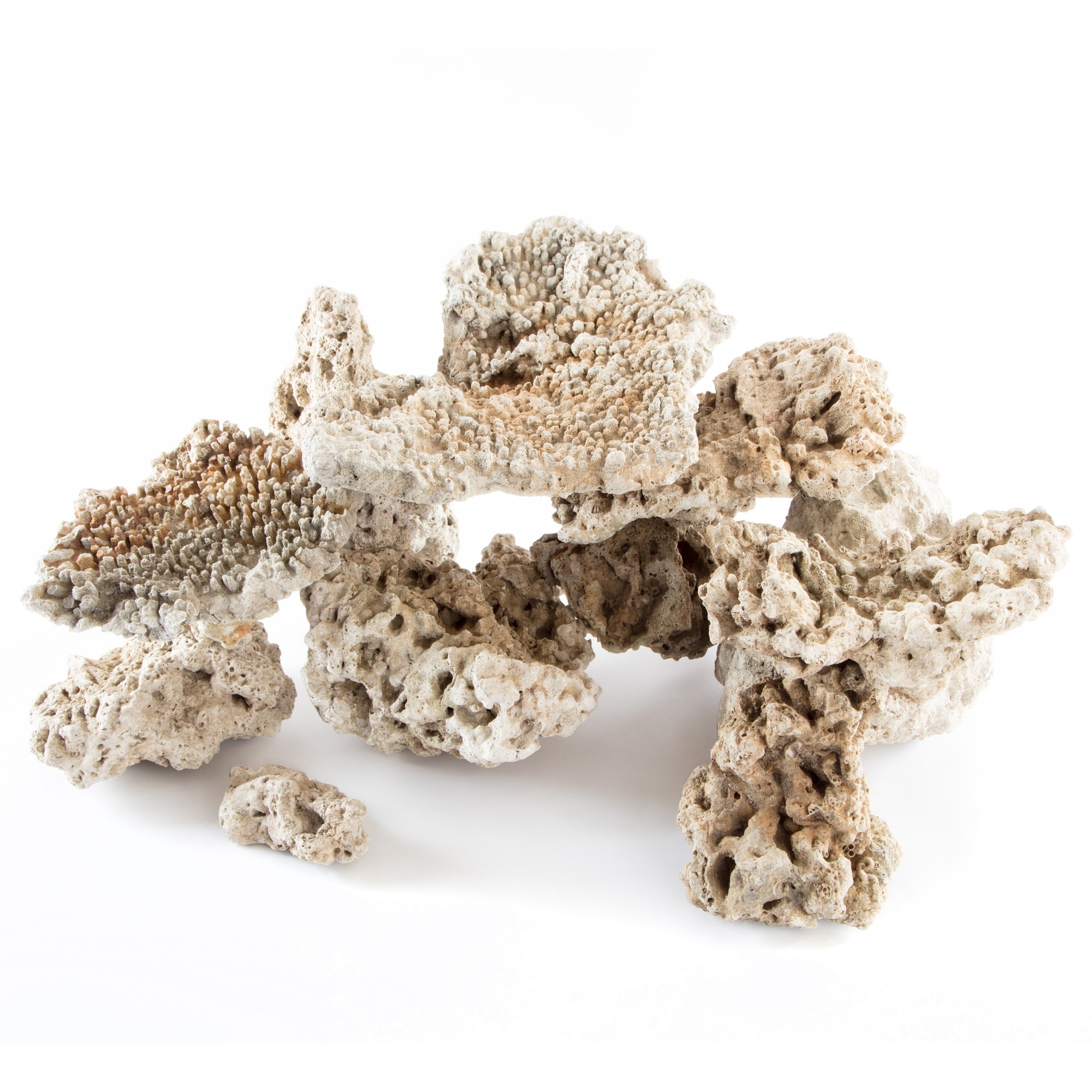 dry reef rock boulder