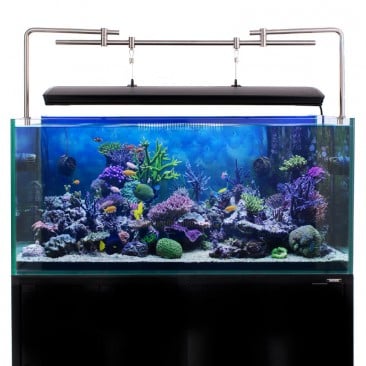 ecotech radion compatible aquarium