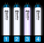 Aquarium T5 Combinations with iQuatics