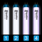 Aquarium T5 Combinations with iQuatics