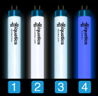 Aquarium T5 Combinations with iQuatics