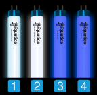 Aquarium T5 Combinations with iQuatics