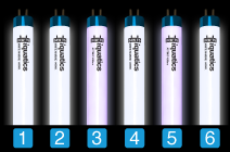Aquarium T5 Combinations with iQuatics
