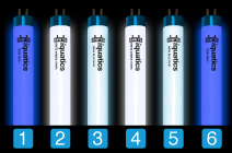 Aquarium T5 Combinations with iQuatics