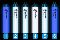 Aquarium T5 Combinations with iQuatics