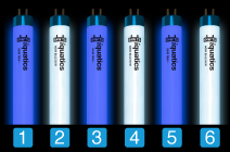 Aquarium T5 Combinations with iQuatics