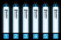 Aquarium T5 Combinations with iQuatics