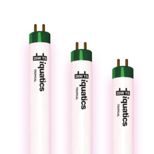 3 x 28W Juwel Compatible T5 Tropical