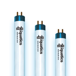 3 x 24w T5 Special Aqua Blue 50:50