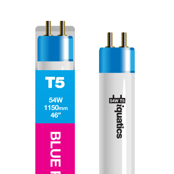 T5 shop blue light