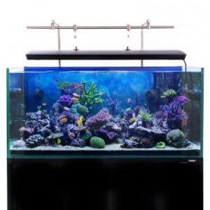 iQuatics Aquarium Light Hanging System 