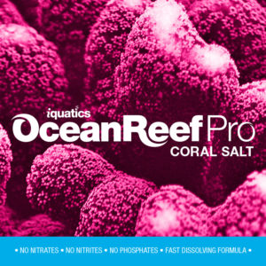 20kg iQuatics Ocean Reef Pro Coral Salt - Aquarium Salt
