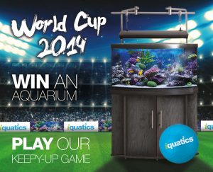 iQuatics World Cup Keepy-Up Game
