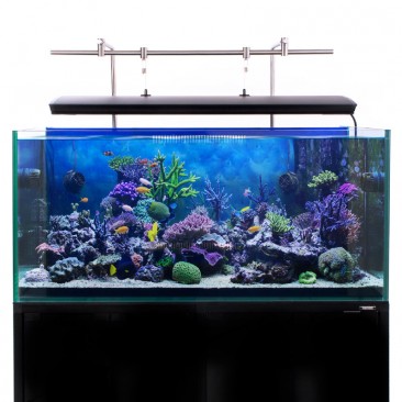 Hanging Bar System